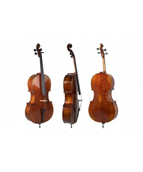 Violončelo 4/4 Allegro...