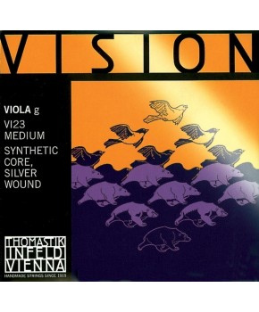 Struna G 4/4 Vision...