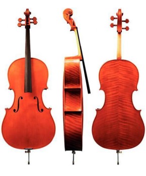 Violončelo Maestro 15