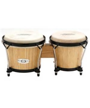 Bongo Synergy TOCA TO802.100-102-108-164